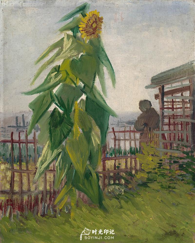 The-Garden-with-Sunflower.jpg