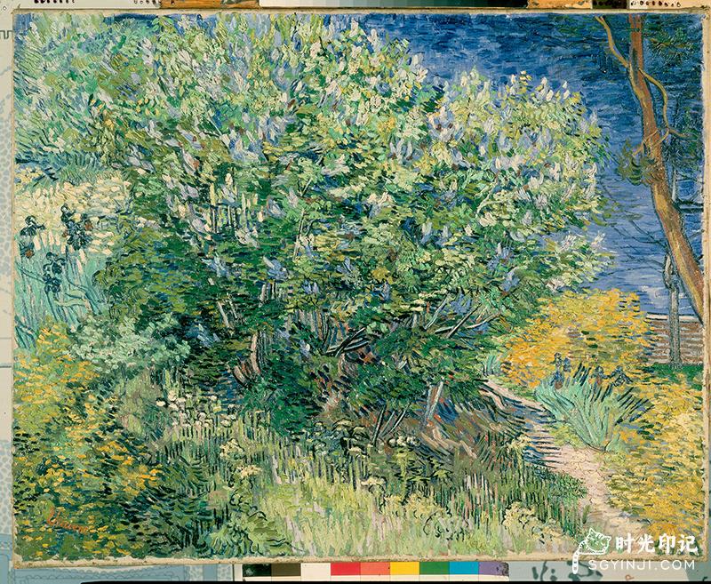 Gogh,_Vincent_van_-_Lilac_Bush.jpg